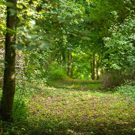 Le Des Ecuries Spa, Domaine De